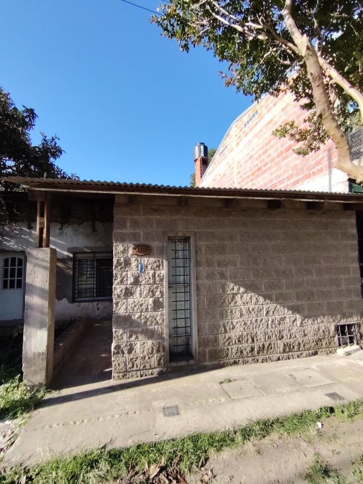 SAN LORENZO 7772